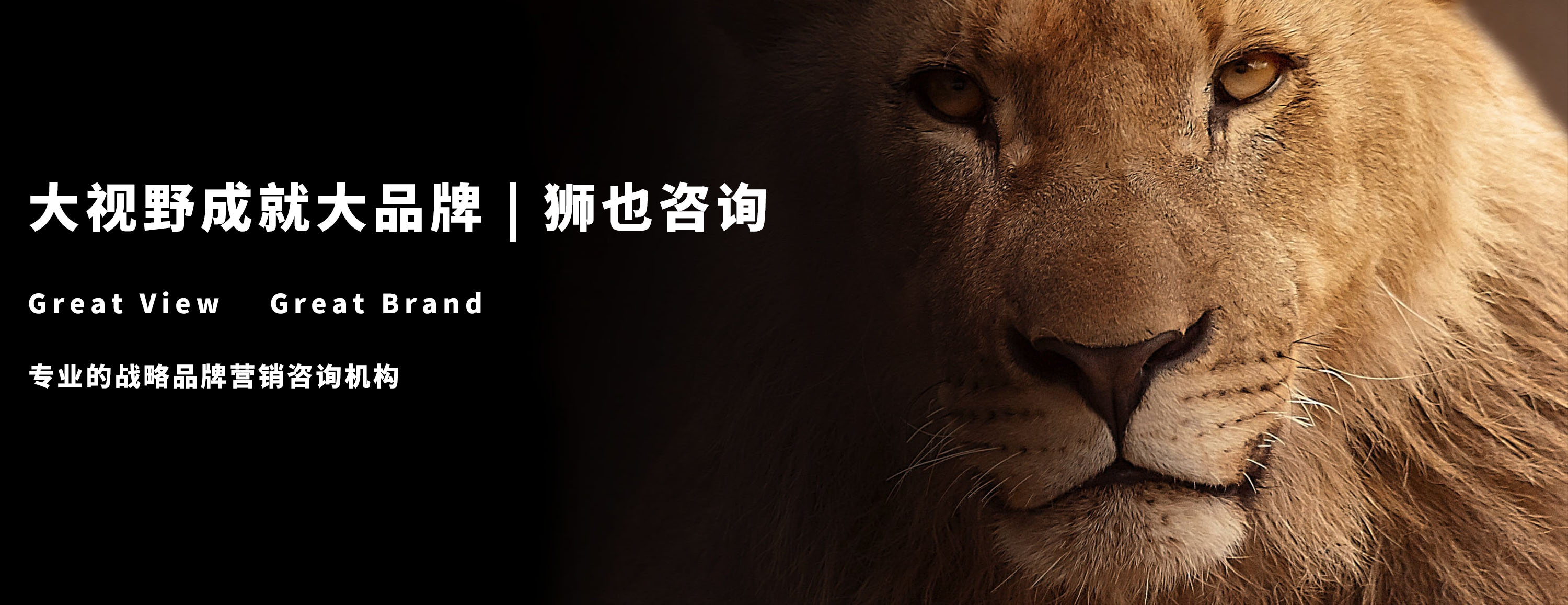 狮也-中国本土战略品牌营销咨询机构